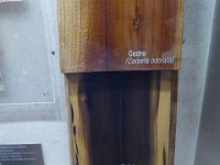 P1030575