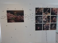 P1030610