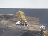 P1030613