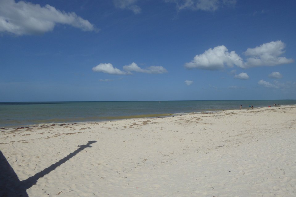 P1030656