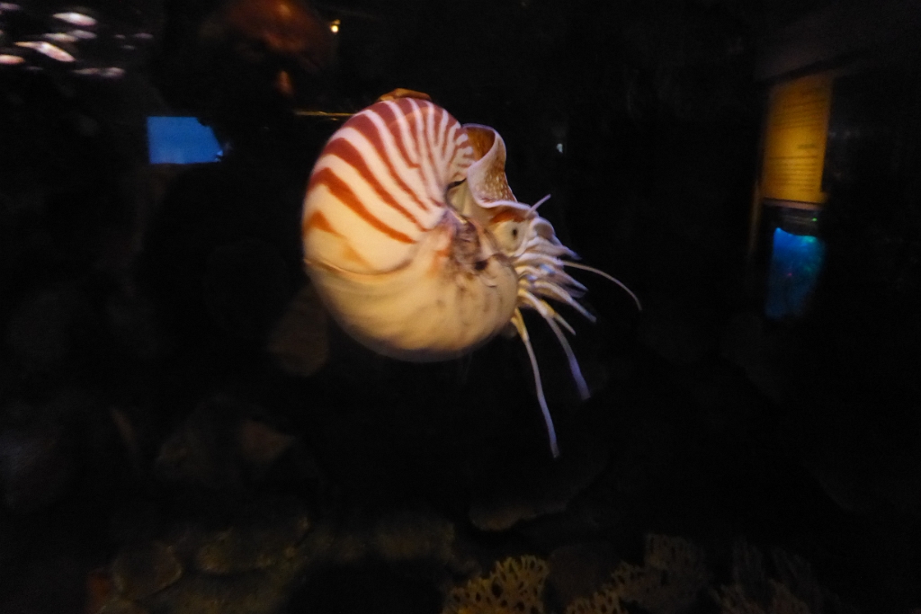 P1050120