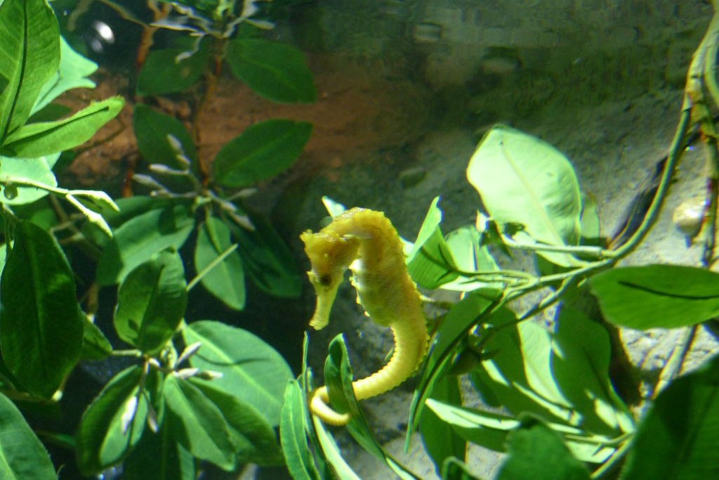 P1290098