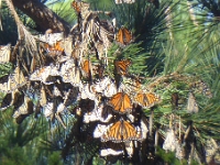 P1050103