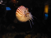 P1050120