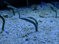 P1290009