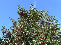 P1290061