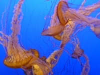 P1290084