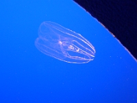 P1290087