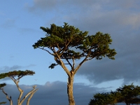 P1290106