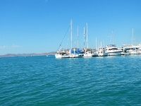 DSCN4908