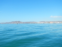 DSCN4916