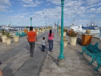 P1040631