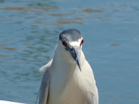 P1040669