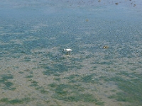 P1270237