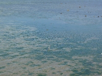 P1270238