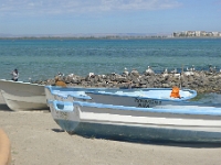 P1270241