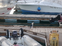 P1270285