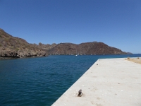P1040768