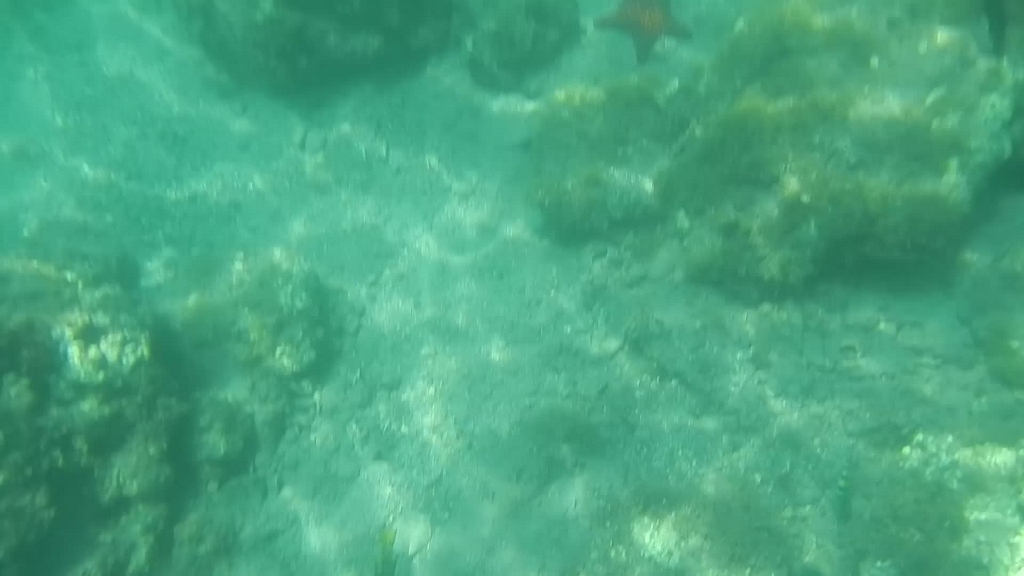 DSCN4954