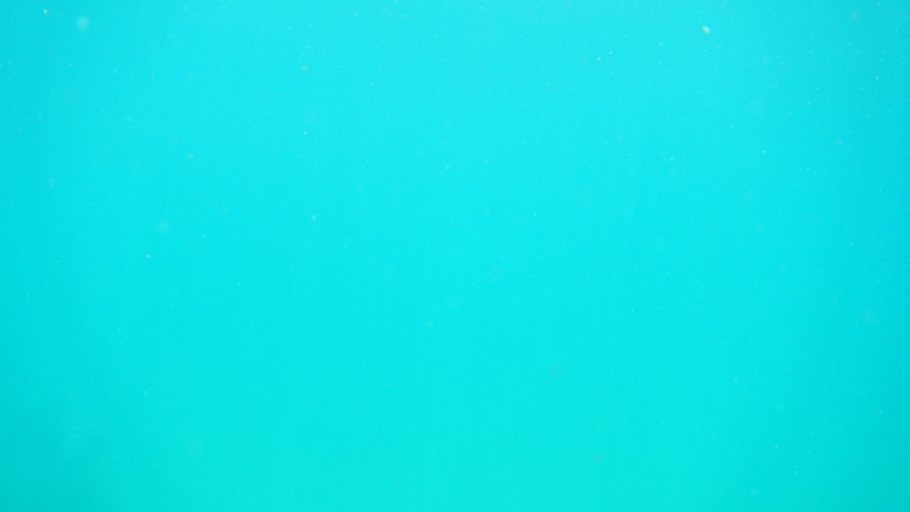 DSCN4966