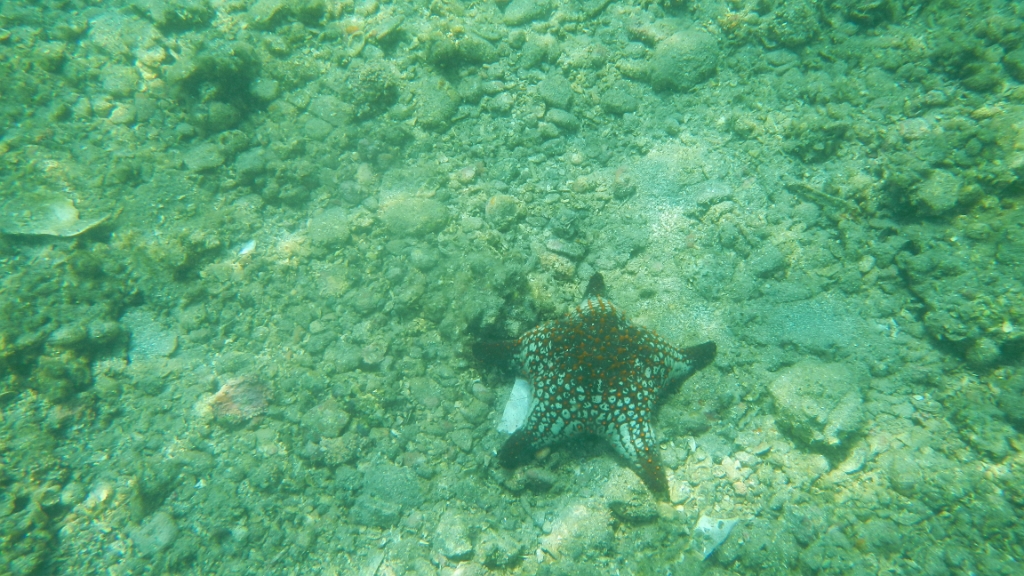 DSCN5004