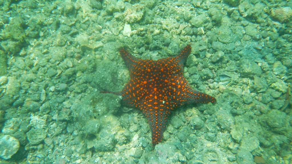 DSCN5005