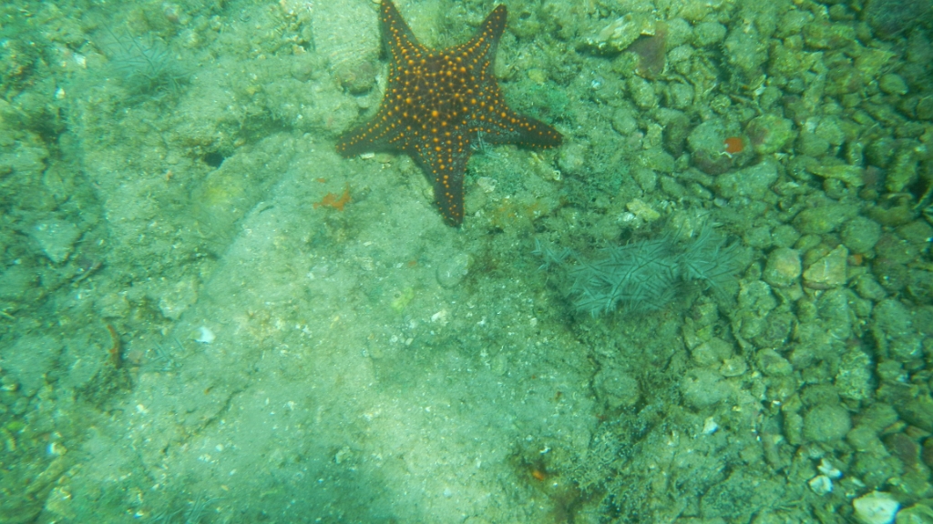 DSCN5009