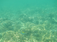 DSCN4921