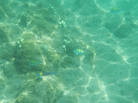 DSCN4923