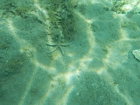 DSCN4929