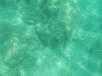 DSCN4932