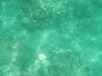 DSCN4933