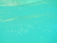 DSCN4934