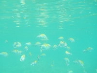 DSCN4938