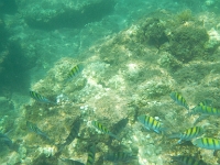 DSCN4939