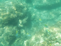 DSCN4940