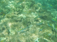 DSCN4942