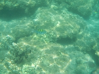 DSCN4944