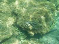 DSCN4946
