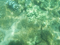 DSCN4947