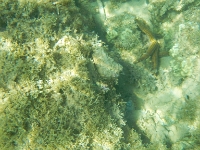DSCN4948