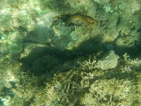 DSCN4949