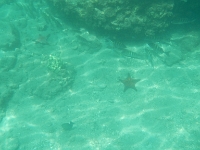 DSCN4955