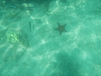 DSCN4957