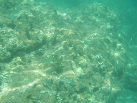 DSCN4958