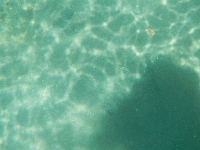 DSCN4960