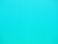 DSCN4966