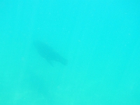 DSCN4968
