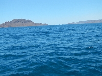 DSCN4973