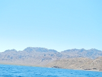 DSCN4979